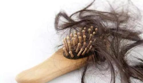 告別夏日頭發(fā)油膩感，儷真8大養(yǎng)護(hù)攻略讓毛發(fā)蓬松自然